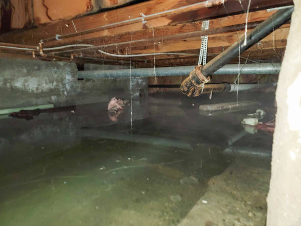 Best Water damage restoration company  in Lusby, MD
