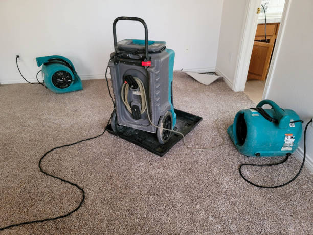 Best Water damage restoration cost  in Lusby, MD