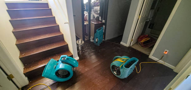 Best Flood restoration services  in Lusby, MD