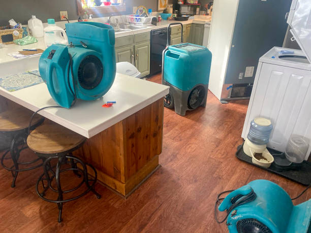Best Ceiling water damage repair  in Lusby, MD