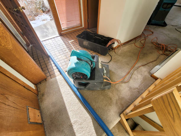 Best Flood damage cleanup  in Lusby, MD