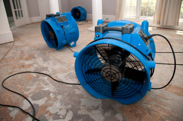 Best Basement water damage restoration  in Lusby, MD