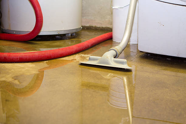 Best Flood restoration services  in Lusby, MD
