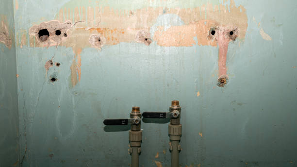 Best Fire Damage Restoration  in Lusby, MD