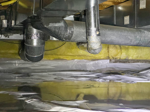 Best Professional water damage repair  in Lusby, MD