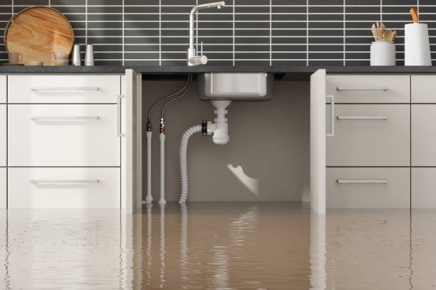 Best Residential water damage restoration  in Lusby, MD