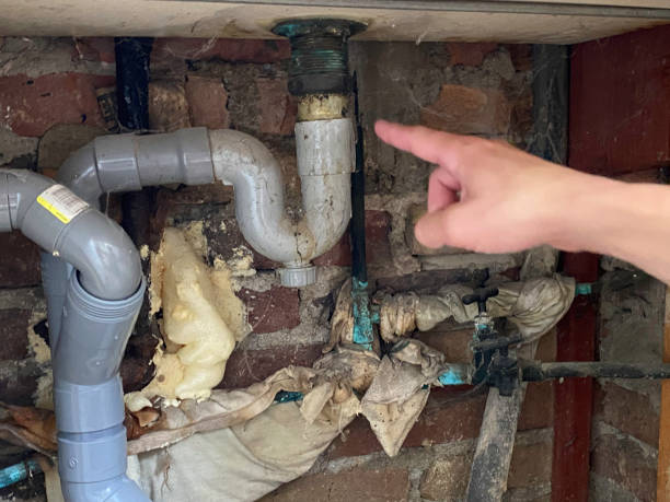 Best Residential water damage restoration  in Lusby, MD