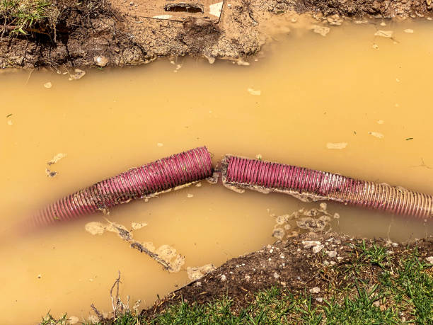 Water damage restoration mold remediation in Lusby, MD